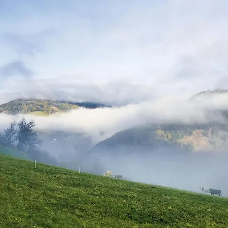 Sonnige Ferienwohnung Auf 1200m In Alpinem Charm! Plessnitz